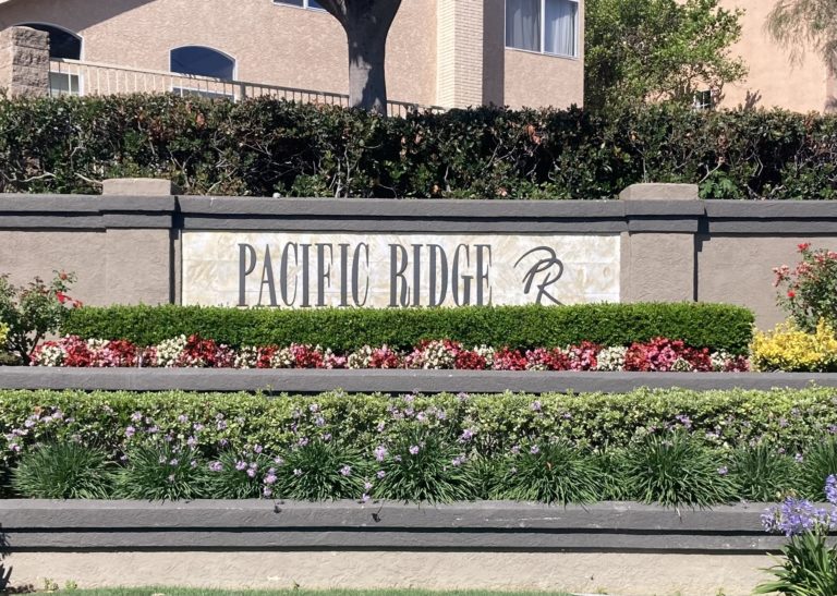 Pacific Ridge Homes for Sale Watts Team Homes